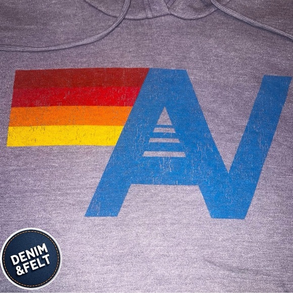 Aviator Nation Unisex VINTAGE LOGO RELAXED PULLOVER HOODIE - FADED GRAPE | NEW💜 - Picture 9 of 16